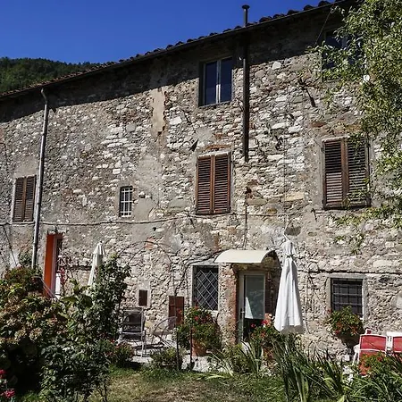 Azzurra * Diecimo